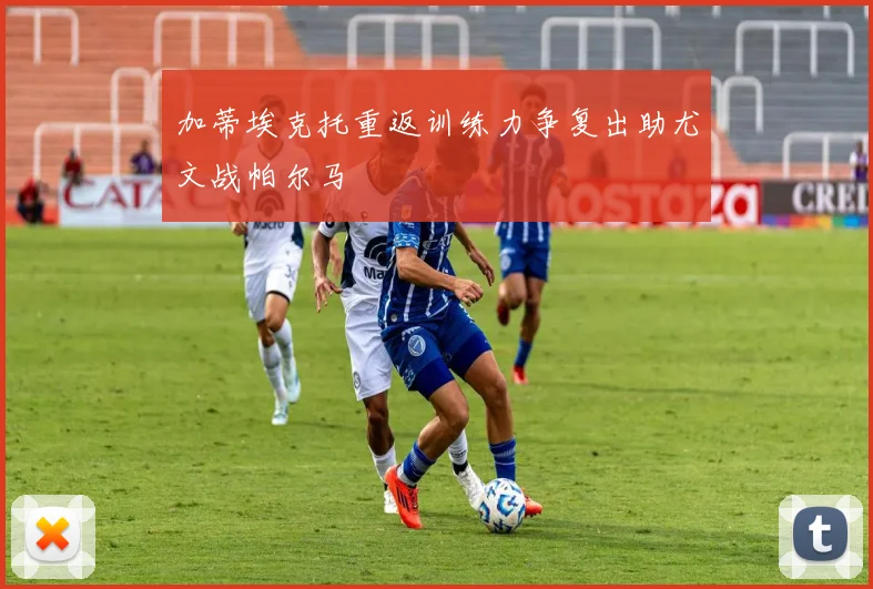 加蒂埃克托重返训练力争复出助尤文战帕尔马