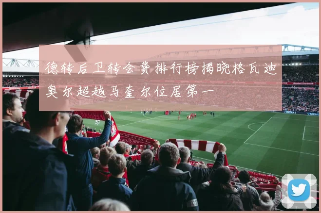 德转后卫转会费排行榜揭晓格瓦迪奥尔超越马奎尔位居第一