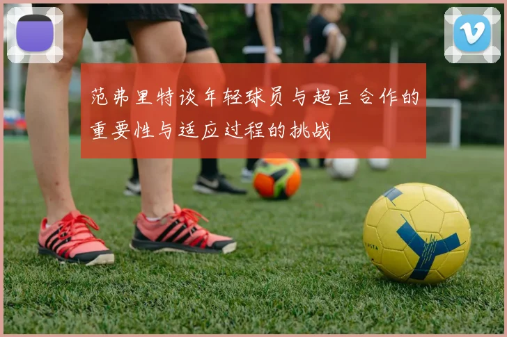范弗里特谈年轻球员与超巨合作的重要性与适应过程的挑战